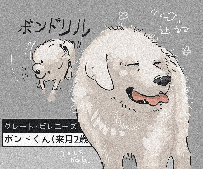 tonekko_uma's tweet photo. とやまソフトセンター人気でうれしい。かわいいですよね。
引き続き推し回なんですが、2025狂犬病予防注射会場のドタバタ劇⑥ 富山市保健所前編もよろしくお願いします。 https://t.co/pAfZu5mFNg