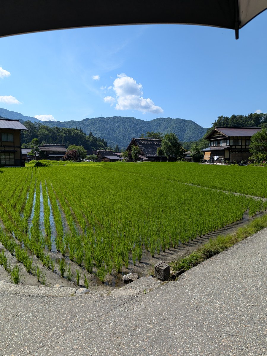 blacksay_96's tweet photo. やっぱり自然に触れる事は重要

特に都会で競争社会にいて疲れた人や、リフレッシュしたい人は絶対に自然に触れるべき。

１日いるだけで次の日から頑張れる。 https://t.co/RTEzWeanhI