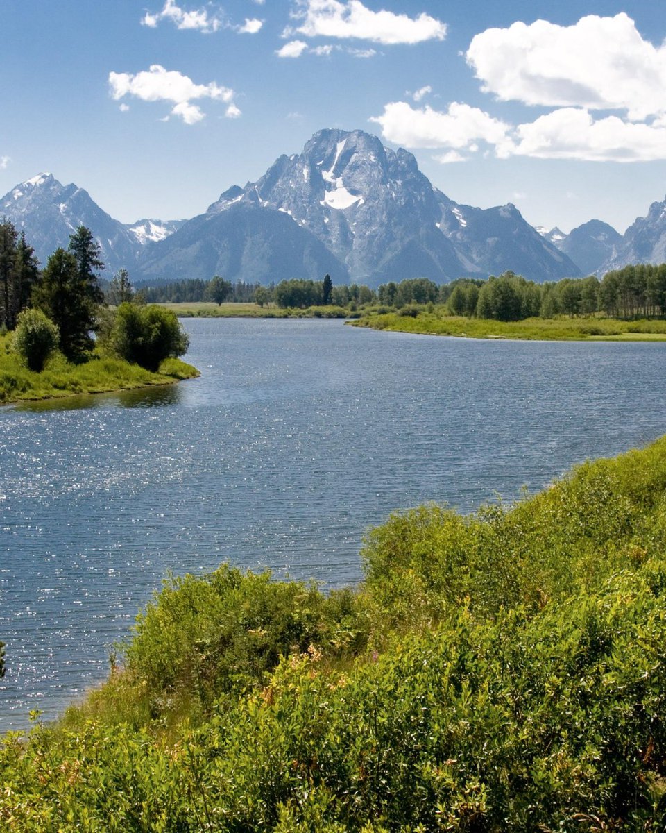 USGS's tweet photo. What do mountain goats, a streamgage, and DNA have in common? 

They are all part of how USGS science supports Grand Teton National Park’s wildlife, waters, and visitors.

📷 1: Grand Teton National Park, Wyoming. Credit: NPS

📷 2: Though iconic in the West, mountain goats are not native to Grand Teton, and their growing numbers raise concerns about competition with native bighorn sheep. USGS scientists use genetic sampling and movement modeling to track their origins and population changes, helping park managers make informed decisions about goat management. Credit: NPS

📷 3: Below the surface of Jackson Lake, a different kind of threat is being monitored. Autonomous environmental DNA samplers are helping detect invasive quagga mussels (pictured) before they can take hold. These tiny mussels can clog water infrastructure and disrupt entire food webs, making early detection important for protecting the lake’s ecosystem. Credit: USGS

📷 4: At the outlet of Jackson Lake Dam, a USGS streamgage (13011000 Snake River near Moran, WY; pictured) has been recording flow data since 1904, making it one of the oldest streamgages in Wyoming. More than a century later, this station is still providing critical, near real time data used to manage irrigation, protect fisheries, and support recreation throughout the region. Credit: USGS

#NationalParkWeek