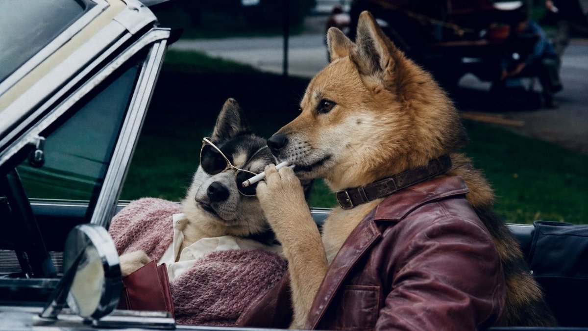 ZZshadowZZY's tweet photo. @DonWedge Yes and doge2 is getting ready to take over . https://t.co/baP0mKFiQh