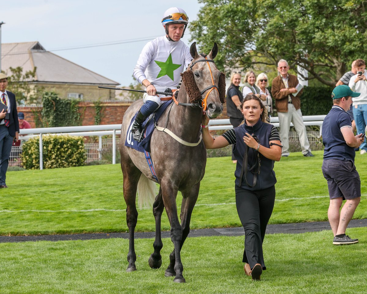 BrightonRace's tweet photo. @AWCarrollracing trained Kento has had a busy summer which has seen him visit us 6 times with a record of 1 win 🥇, 2 seconds 🥈 and 2 thirds 🥉

We love this photo of him leaving the parade ring, taken by Darren Cool 📸📸 https://t.co/gruOPPifP1