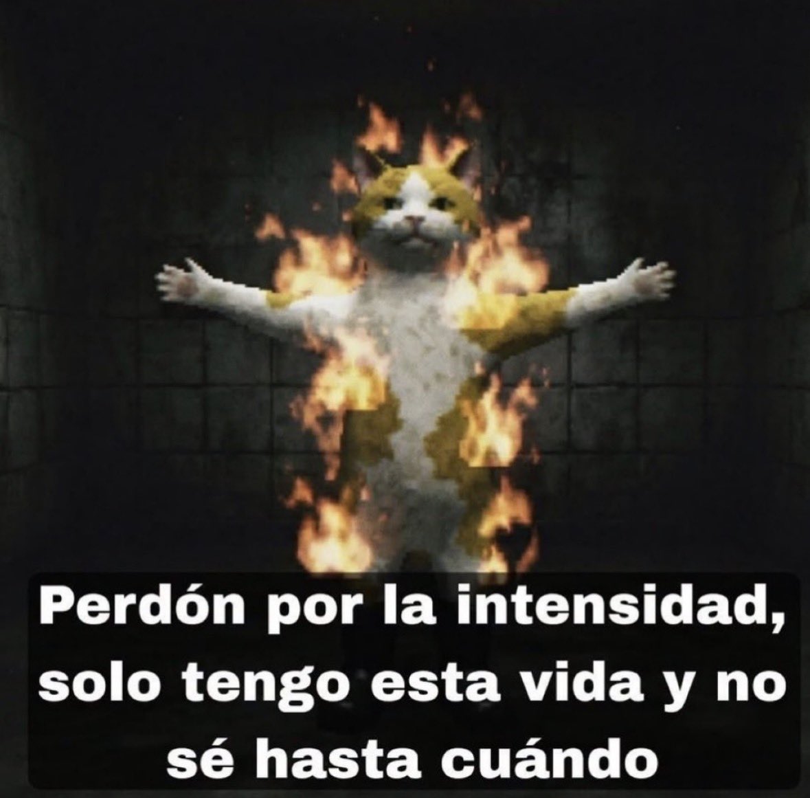 itextosoff's tweet photo. https://t.co/XkGPf65fl4
