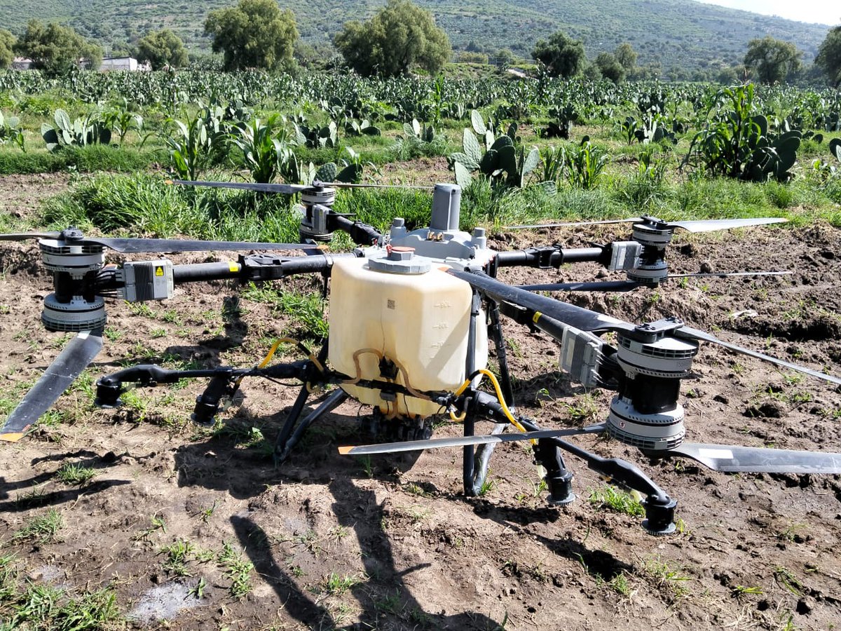 CampoEdomex's tweet photo. En #Axapusco realizamos una demostración de dron agrícola para mostrar a productoras y productores cómo esta tecnología permite aplicar insumos de manera uniforme, ahorrar recursos y cubrir más terreno en menos tiempo.

#SomosCampo #TransformandoElCampo #ElPoderDeServir https://t.co/Qcd3yN3bjj