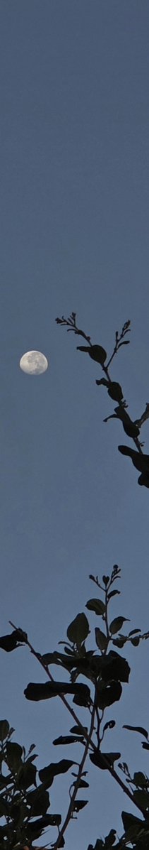 jnnx7i's tweet photo. تصويري لو كان فاصل كتابي https://t.co/1wgIA4aERg
