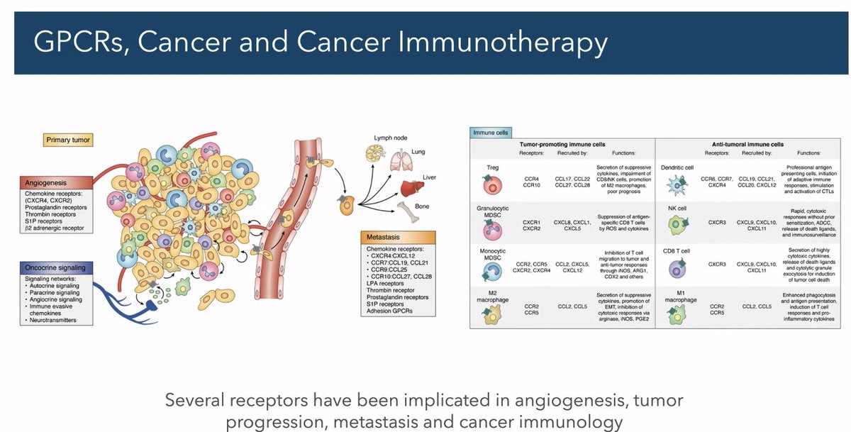RiyueSunnyBao's tweet photo. Today we are kicking in our 5th @sitcancer #CompIO webinar series, August 2026 lecture from Dr. Babu @StJude !!
Dr. Babu is Chief Data Scientist and Senior Vice President and today he will share with us his lab's long-standing work in #CancerImmunotherapy #GPCRs #strucbio🤩 https://t.co/9CnA0mYGd5