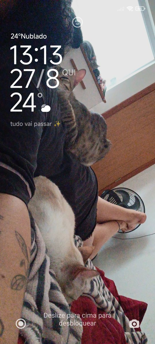 txalvess's tweet photo. @pwejktae Meus bebês https://t.co/YpVakyiOFs