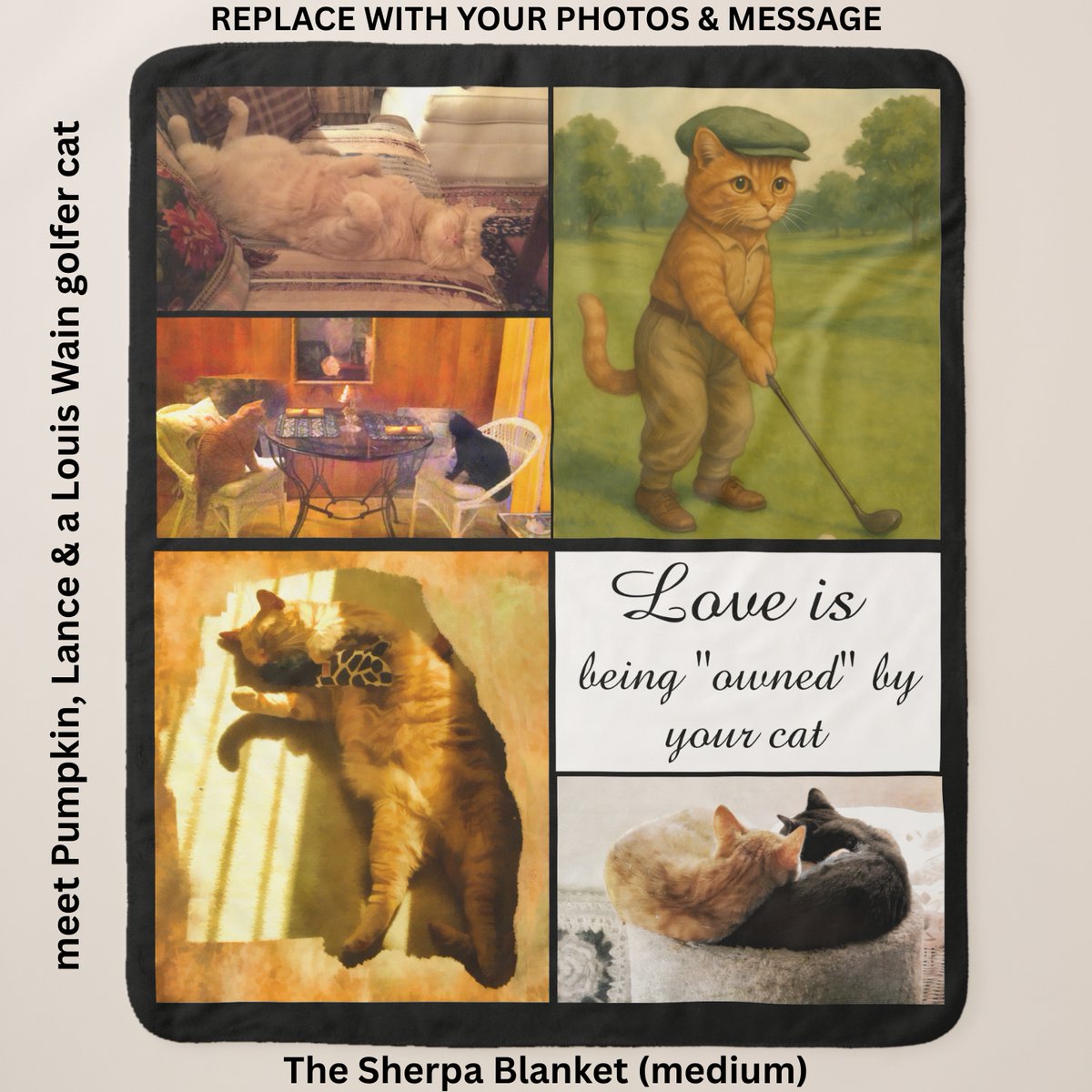 RMLady's tweet photo. 5 Photo Cat Personalized Medium Sherpa Blanket change or leave the message. https://t.co/IuURLausfm  Enjoy today &amp; then cherish your memories. (these are my 2 guys &amp; a Louis Wain golfer)
 #petphotoblankets #catphotoblanket #petmemorialwithphotoblanket #fivephotocollagepetblanket https://t.co/mou1Katr8i