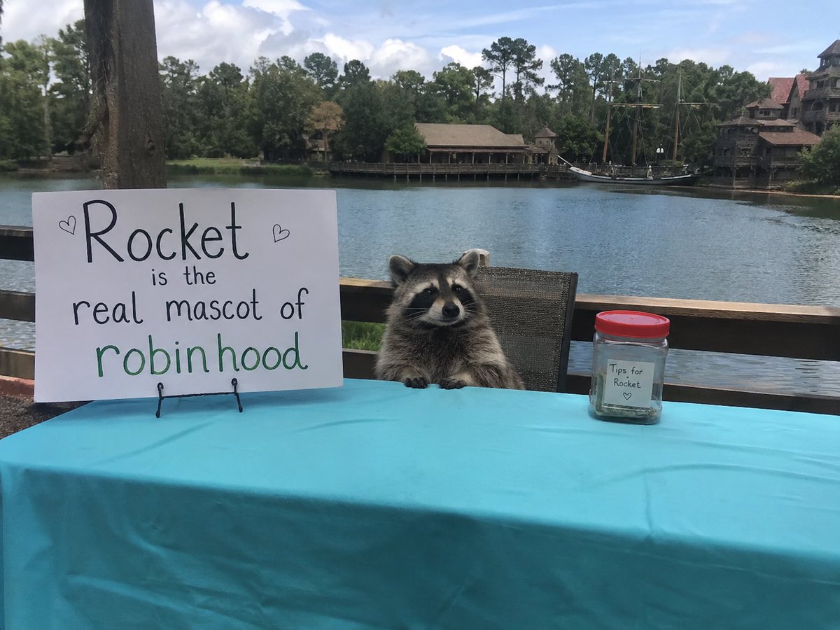 RocketDotHood's tweet photo. Doing my part to spread the greatest lore on the most dominant chain 

@RobinhoodCrypto @vladtenev https://t.co/nBWgDoYwrb