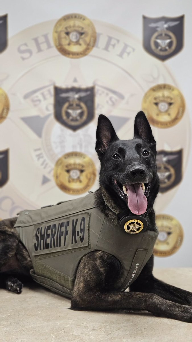 VIK9s's tweet photo. K9 Jynx of Irwin County Sheriff's Office, GA is now protected! 🐾 Thanks to a donated bullet and stab vest sponsored by Tracey Smith of St. Petersburg, FL. Help protect a K9 hero—link in bio!

#K9Heroes #VestedInterestInK9s #ProtectOurK9s #LawEnforcementK9 https://t.co/iOhK6x4VI2