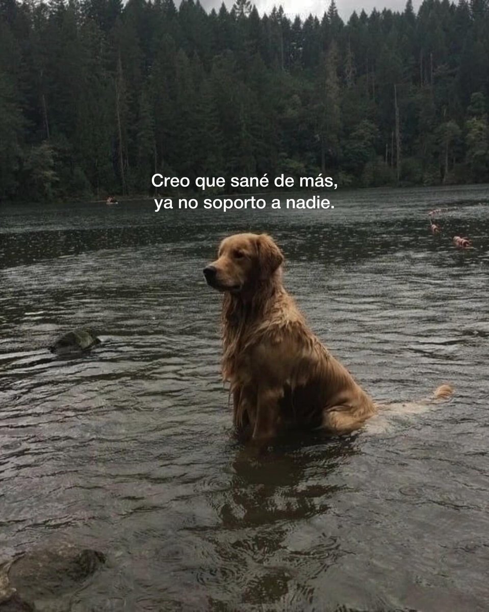 escritosvibra's tweet photo. https://t.co/SAprO3hKKj