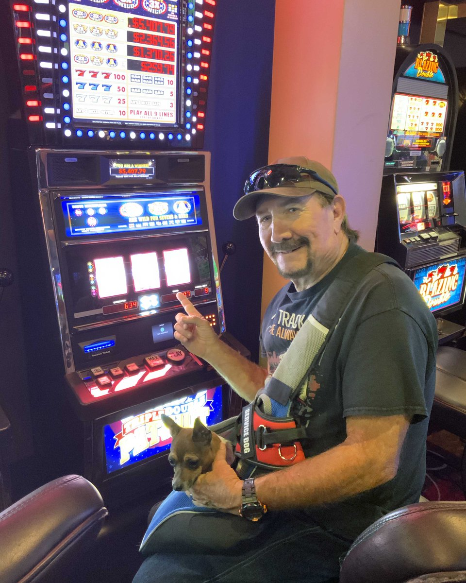 CenturyCasinoCR's tweet photo. Clinton was feeling the LUCK when he hit a jackpot for $5,407!  #winnerszone #centurycasino 

Gambling problem?  Call or text 1.800.GAMBLER. https://t.co/ZmCARP8e5m