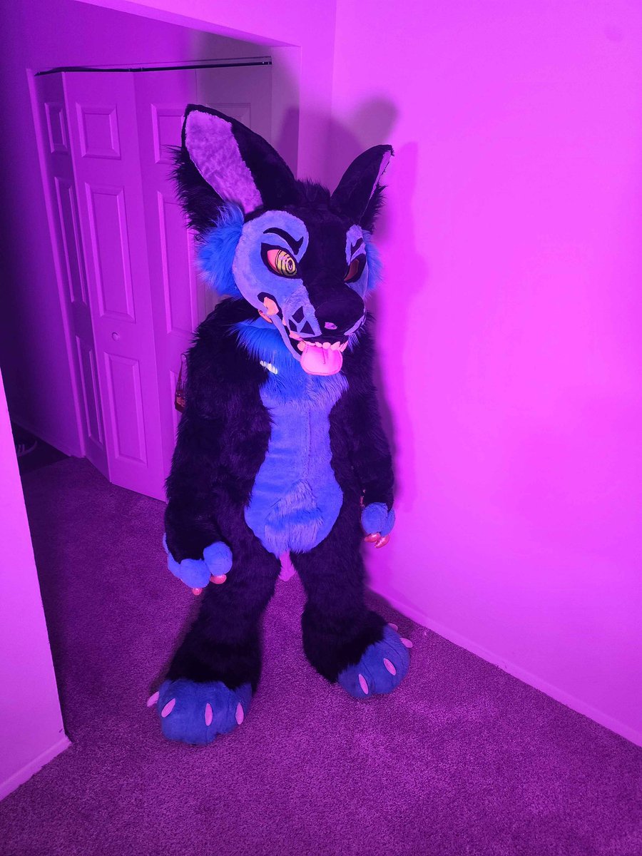 DefaultFurr's tweet photo. -Deep voice ❌
-Is taller than 5’11” ❌
-Weighs more than 155lbs ❌
-Wears size over 7 1/2 ❌
-More male friends than female friends ✅
-Knows how to grill barbecue ✅
-Watches football✅
-Wears a football jersey ✅ (PSU)
-Hairy armpits/legs ✅ (oops ;-;) https://t.co/BvYziUXXut