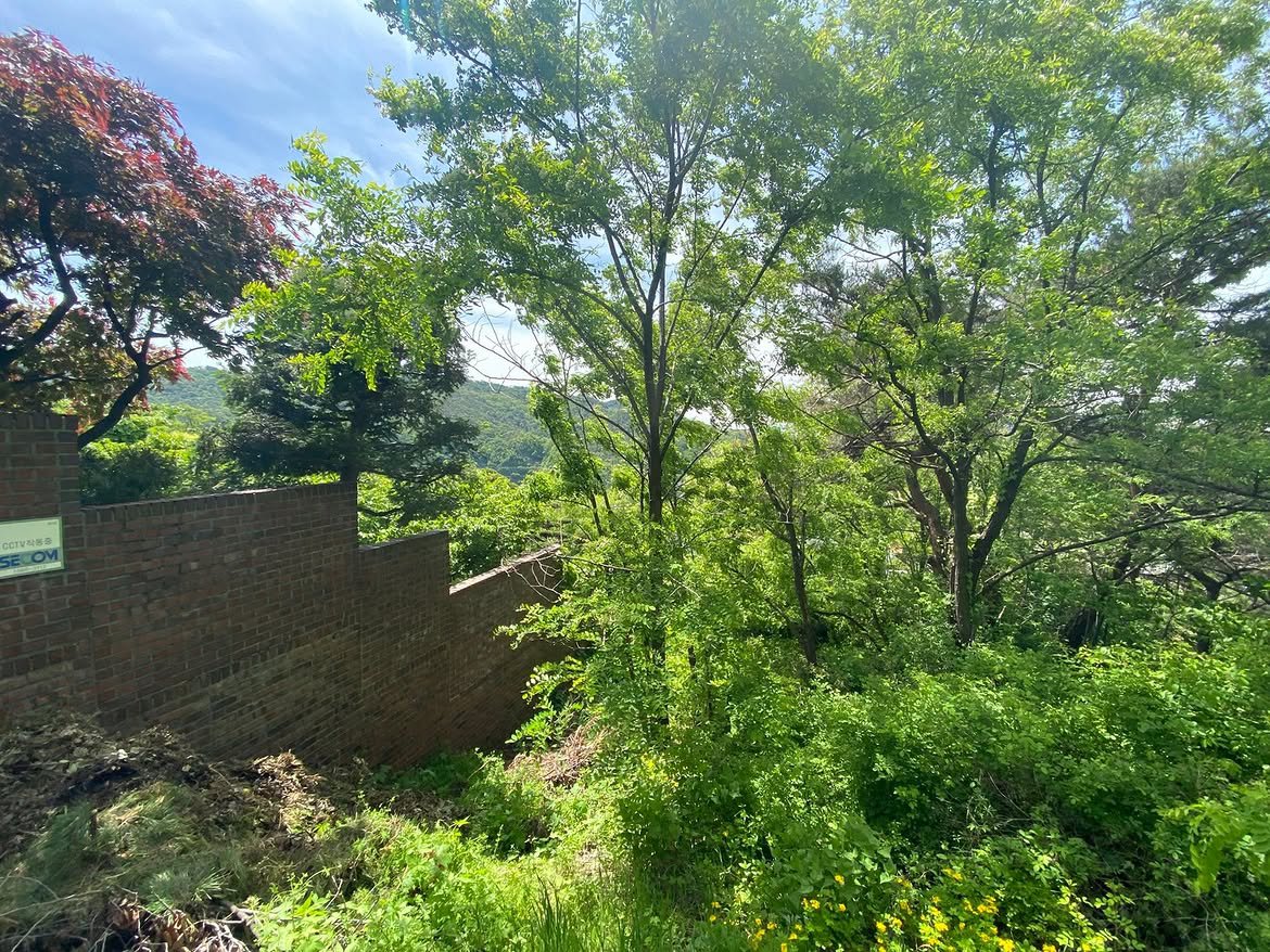 Arctrium's tweet photo. ╱ 𝗣𝘆𝗲𝗼𝗻𝗴𝗰𝗵𝗮𝗻𝗴-𝗱𝗼𝗻𝗴, Site Visit

​Every project starts by understanding the land to build a strong foundation. This site sits within a rare, lush natural environment with a massive 12 meter elevation difference in the terrain. https://t.co/6TfeEW4bE3