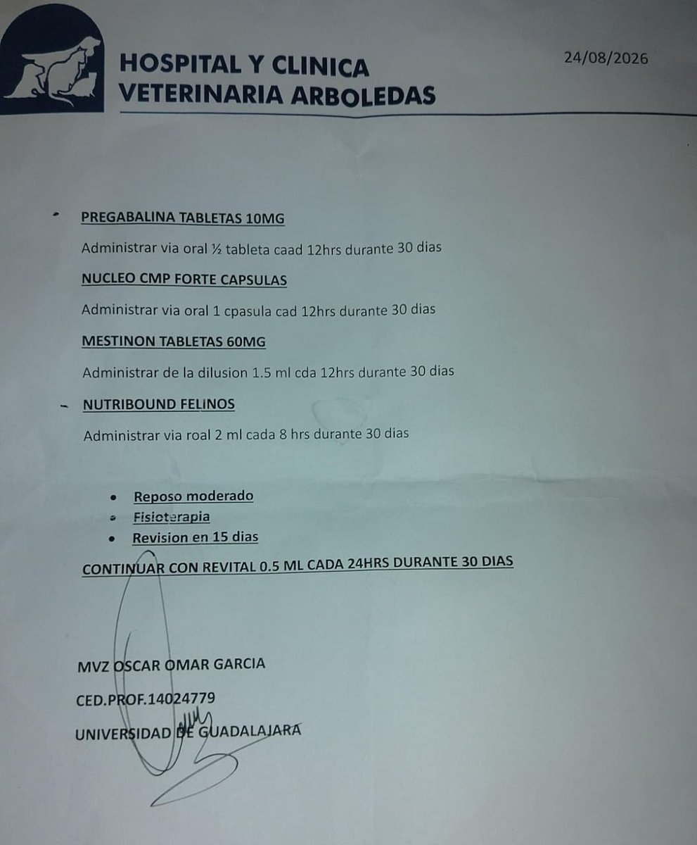 Ari_Arciniega6's tweet photo. Amigos me están solicitando Apoyo Urgente para Casio🐈han sido más de 20 días en una dura batalla por la salud de Casio. tuvo 1 hospitalización de urgencia por una crisis neurológica grave. De ahí lo derivaron con el neurólogo especialista, quien le prescribió su esquema de tratamiento.
​Casio concluyó su ciclo de tratamiento inicial, pero lamentablemente sufrió una recaída al poco tiempo, por lo que tuvimos que reiniciar el esquema médico para estabilizarlo. Hoy está mostrando ligeros avances y demuestra enormes ganas de salir adelante, pero mis recursos económicos se han agotado por completo.

​Para lograr que vuelva a caminar bien y sostener su recuperación en los próximos 30 días, necesito recaudar fondos para fisioterapia (es indispensables para rehabilitar sus patas).
o el Nutribound que requiere 4 frascos durante el mes por su límite de uso de 7 días, cada uno tiene un costo de 500 MXN.

si lograra cubrir cualquiera de las dos, me facilitaría mucho el poder ayudarlo sacarlo adelante y que pueda recuperar a mi chiquito. agradezco a quien se quiera sumar a la causa🙏🏻🥹
Cualquier 🪙 sumará para sanar a Casio porfavor No lo dejes solo 😿
@Tiofelino 🐾