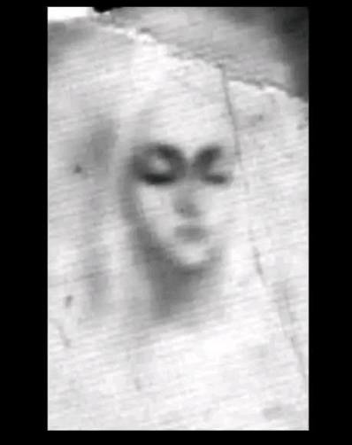 FightForMary's tweet photo. 🌹 HOLY MARY, MOTHER OF GOD 🌹

Real photograph of the Blessed Virgin Mary from Zeitoun, Egypt 1968-1971

1m witnesses.  Muslims, Jews, and atheists ALL saw Mary.  

Even the Egyptian government had to admit it was real.  

Google it.  Grok it.   Ave Maria. 💪 https://t.co/DRrG7cJTXj
