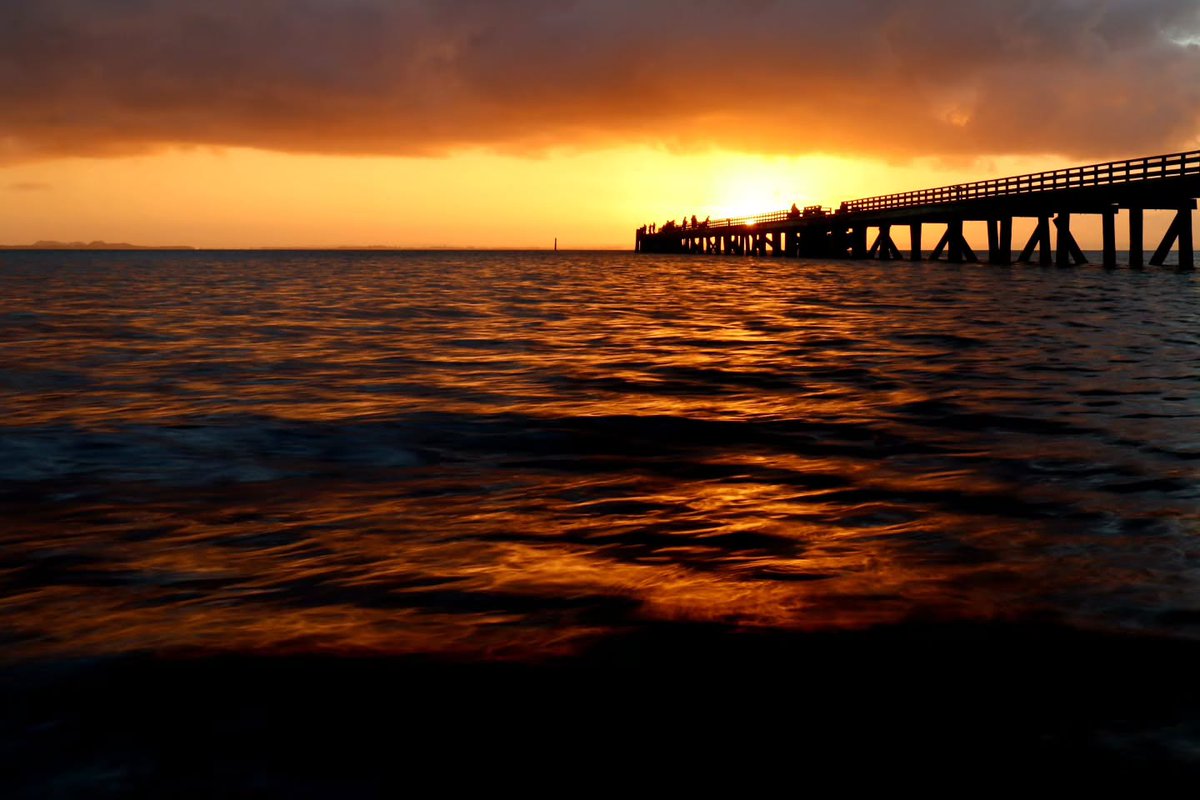 edugonqui's tweet photo. The Rising Sun at Cornwallis Wharf, Auckland https://t.co/oASXzeihqh