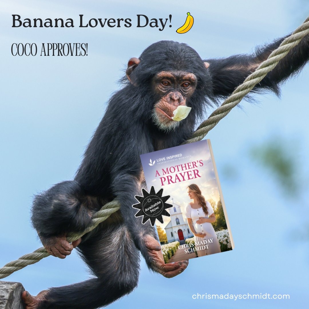 AlwaysWriteTime's tweet photo. 🍌 Happy Banana Lovers Day!🐒
Meet Coco, Sweetwater’s resident chimp! He’s appeared in every Sweetwater story so far. 😉
Banana lover?🍌❤️
👍 Love ’em
😋 Banana bread
🙅‍♀️ No thanks
#BananaLoversday #AMothersPrayer #SweetwaterArizona https://t.co/B004y1Hr18