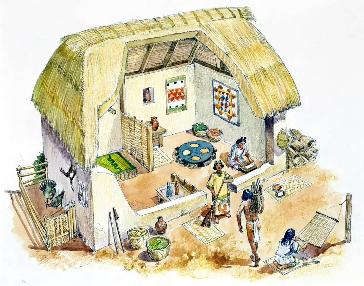 Lycaones's tweet photo. Reconstrucción de una casa prehispánica.

No es un templo. Es el cuarto de todos los días.

¿Qué es lo primero que distingues y qué te falta para creer que alguien vivía ahí?

#HistoriaMéxico #Arqueología #OrgulloCultural https://t.co/KlAqQcBerN
