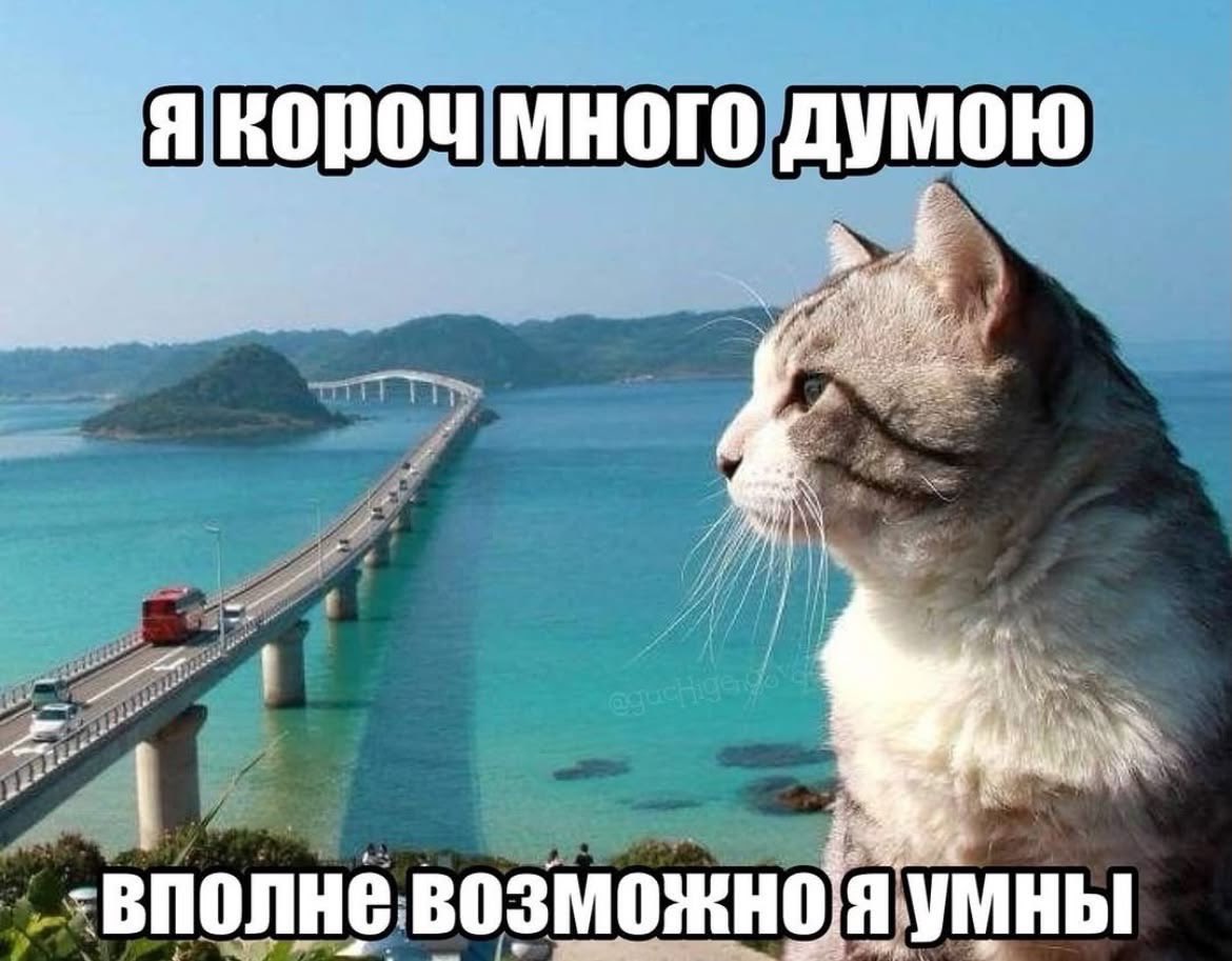 cherry0fff's tweet photo. https://t.co/QHBM1PGK8G