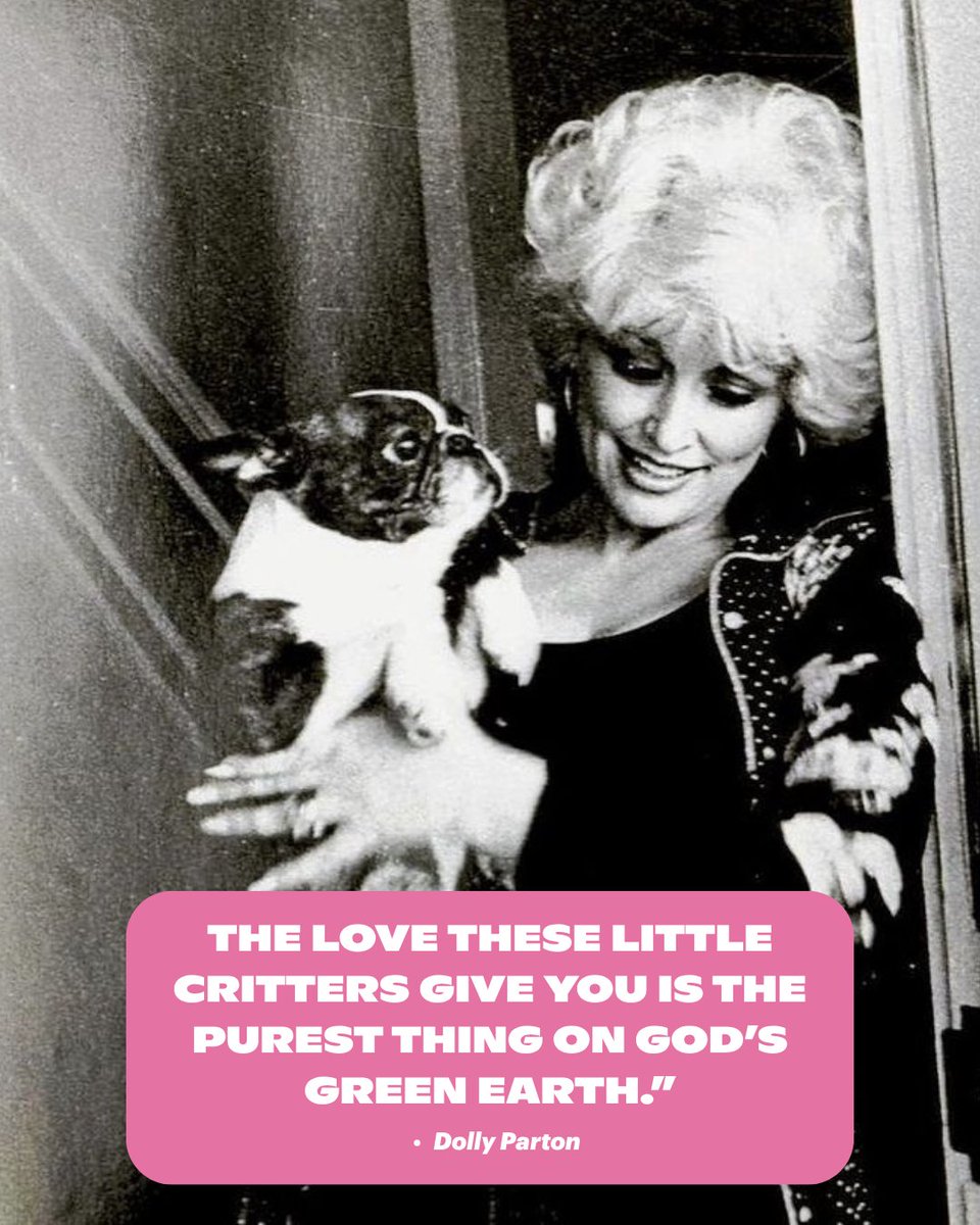 dogtv's tweet photo. The world lost a beautiful person this week. 🩷 Dolly Parton will always be remembered as a source of light, goodness, and love. Rest in peace, Dolly. 

#DollyParton https://t.co/Q6eeds4595