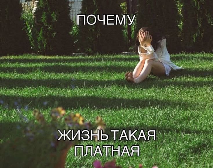 ssttereoo's tweet photo. ходила сегодня с  лпшностью по магазинам, как по музею. мне плохо с ценников. я бедный студент отстаньте https://t.co/SNi2jETjiX