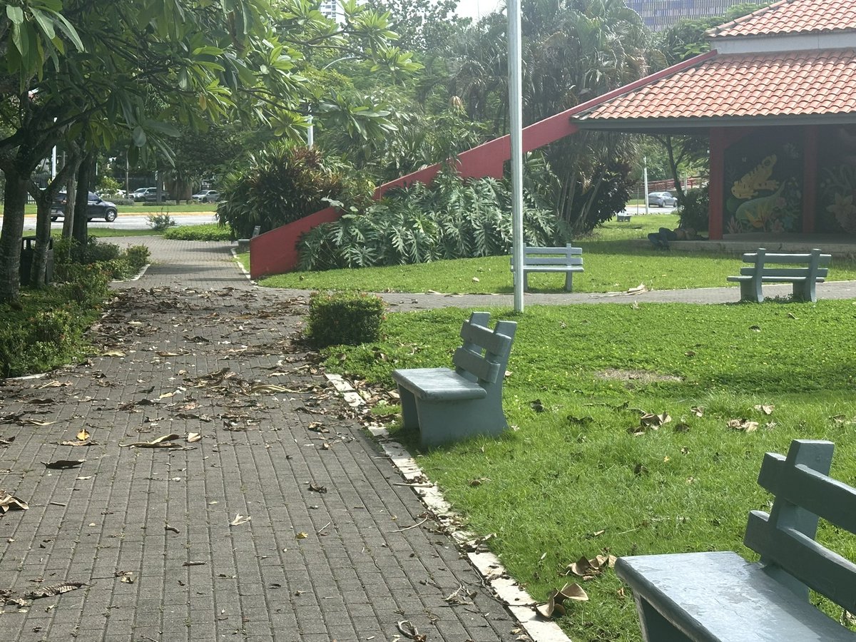 TNo47724593's tweet photo. @as_salazar @JoseRaulMulino Y por favor, mantengan sus ubicaciones como el área de Cinta Costera que parece estar descuidada. https://t.co/nA8zmOUtbN