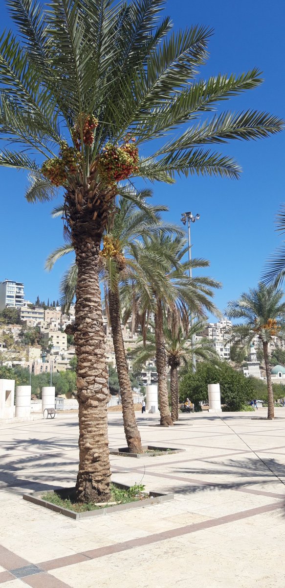 fulmoon_min's tweet photo. Welcome to Amman https://t.co/tKUkHRVQCF