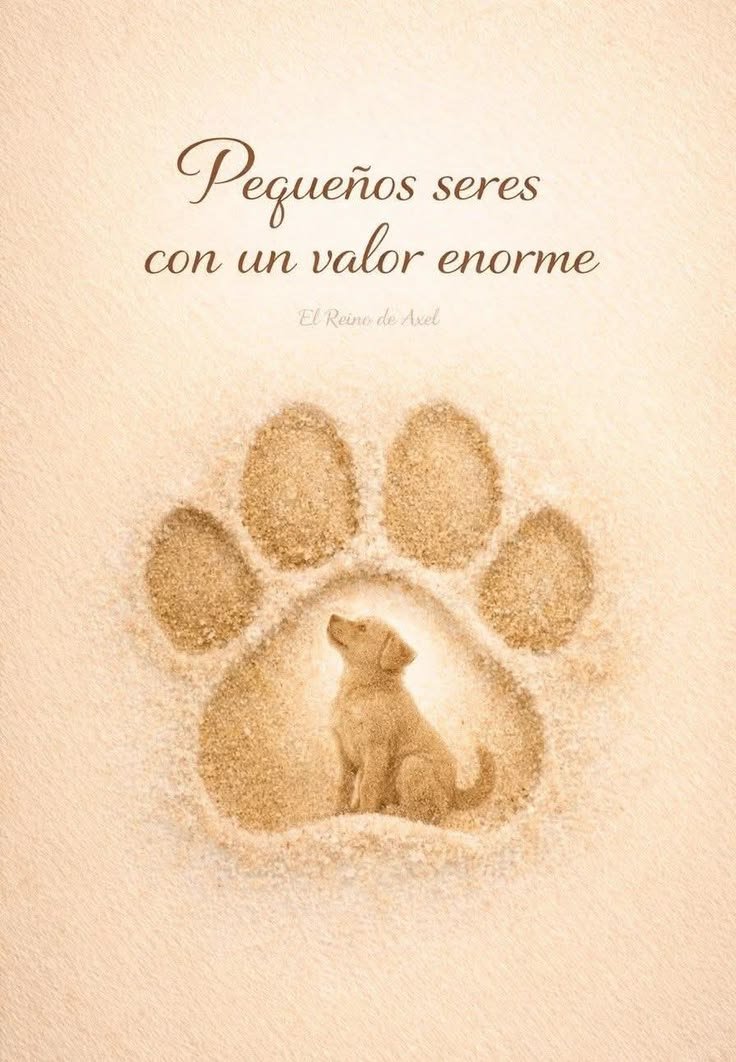 rey_latino33087's tweet photo. https://t.co/U32IBflbmP