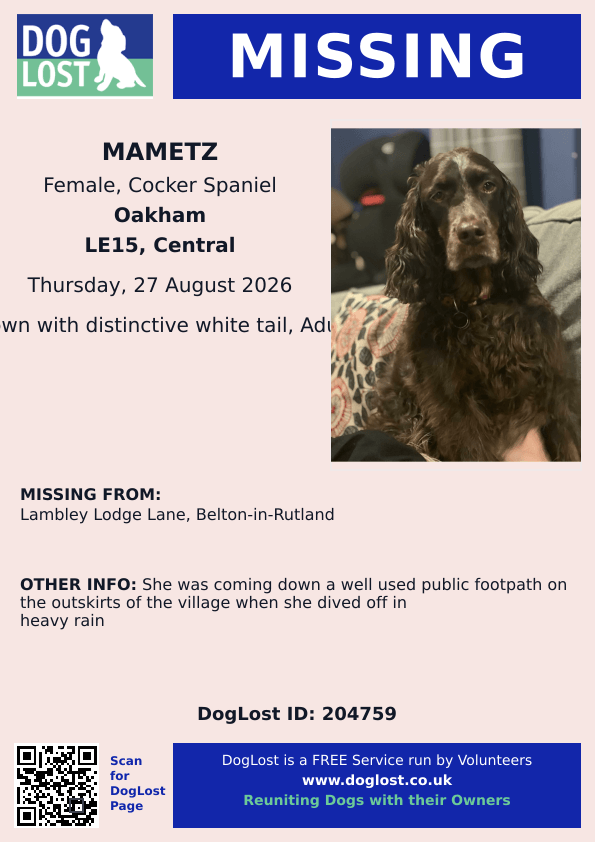 millypod1's tweet photo. 🆘27 AUG 2026 #Lost Mametz #ScanMe
Cocker Spaniel Female
Lambley Lodge Lane #BeltonInRutland #LE15
County #Oakham #Rutland
https://t.co/N0ZjpxkNKo https://t.co/UZweVCX5oe