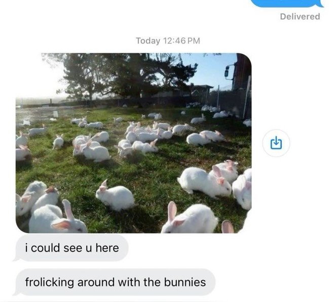 why_bun's tweet photo. https://t.co/7l0mPt8Xm4