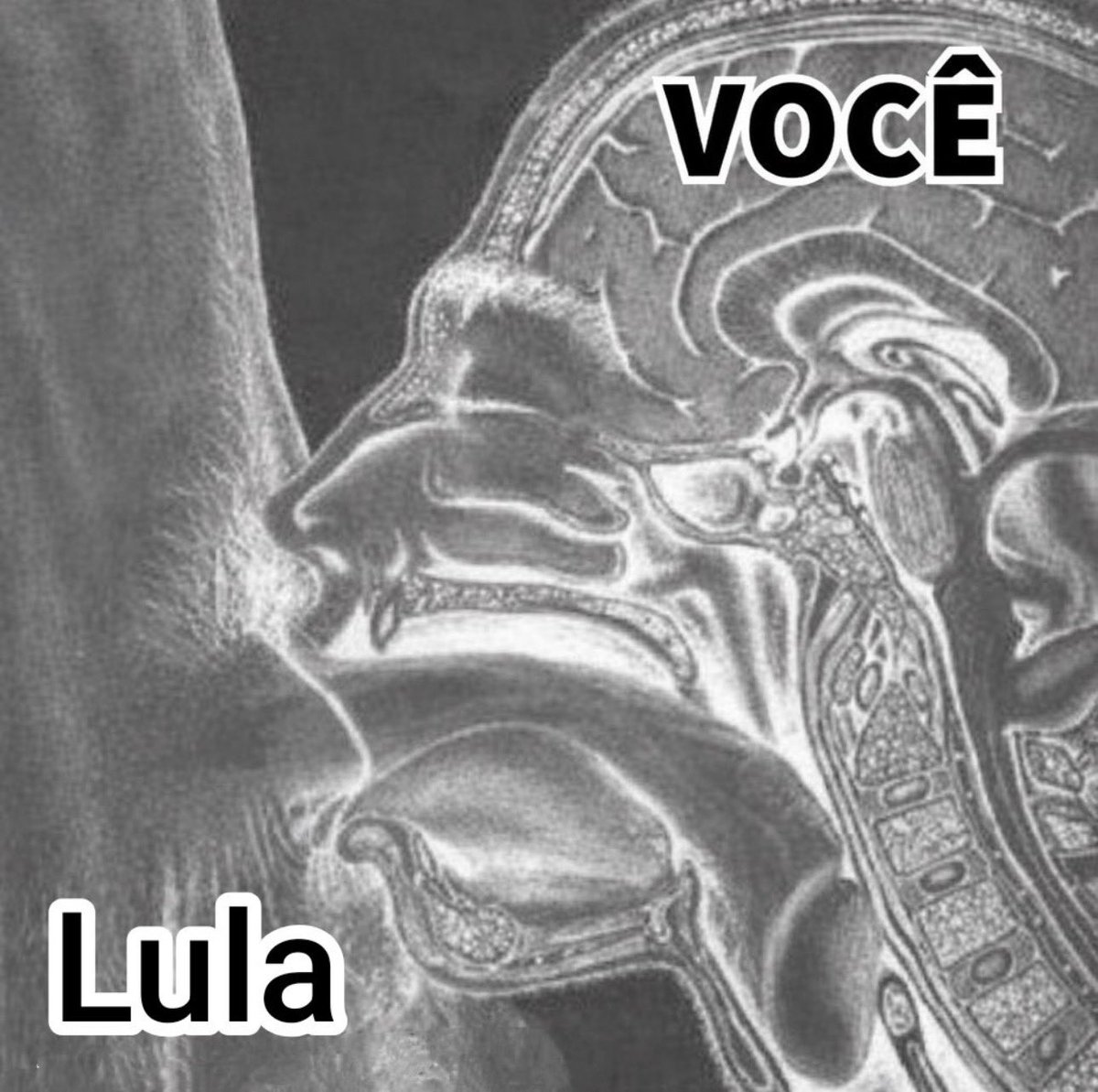 QuoiApp's tweet photo. @fplopez50 teu cu https://t.co/IQHEdswOE4