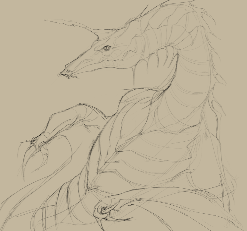 one1eyed_queer's tweet photo. dragon sketch https://t.co/pLiUekLD1N