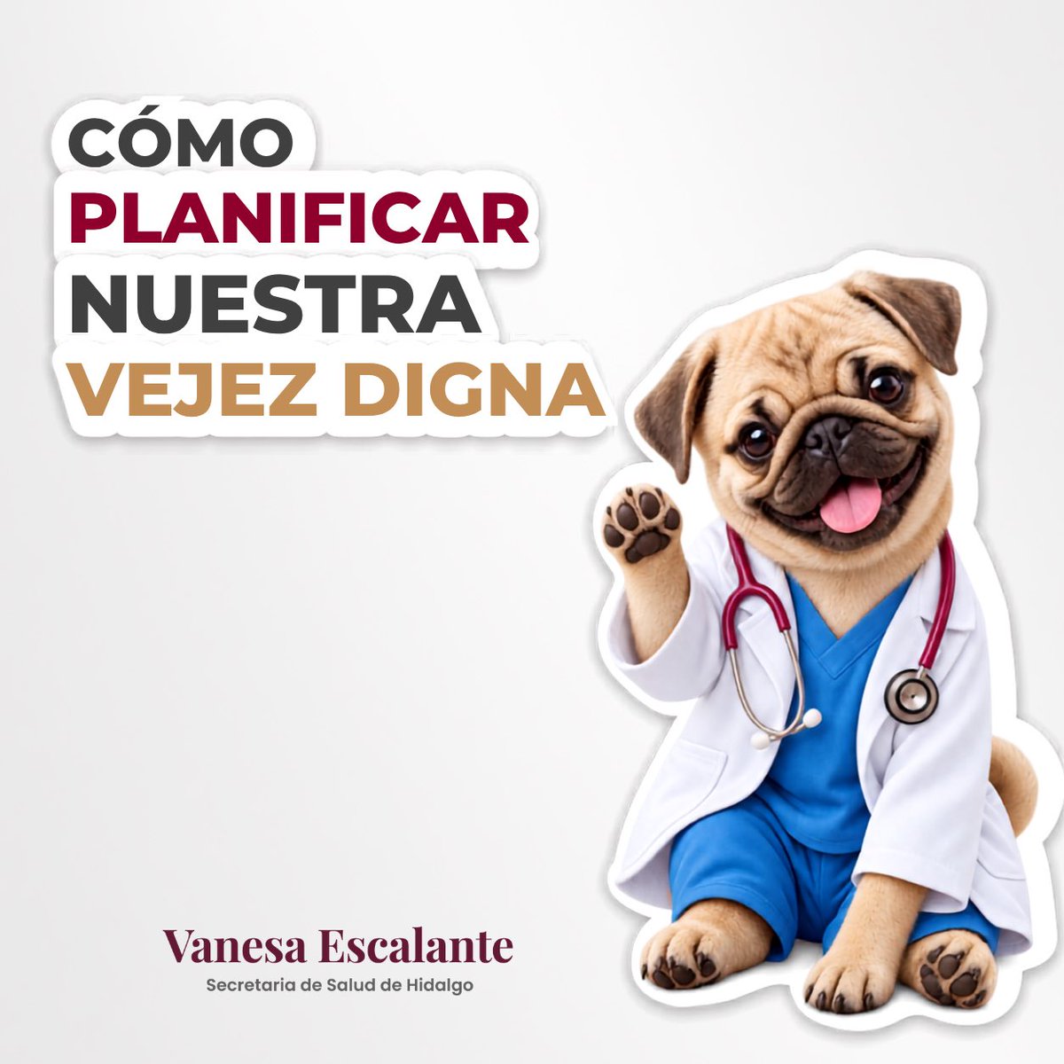 VaneEscalanteA's tweet photo. ¿Quieres disfrutar una vejez con mayor bienestar y autonomía? 👵🏼🧓🏼🤍
Empieza a planificarla desde hoy.

👉🏼Sigue estos consejos y prepárate para vivirla plenamente. #PrimeroTuSalud https://t.co/blGyvTq8EF