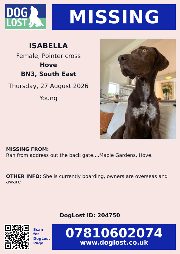 millypod1's tweet photo. 🆘27 AUG 2026 #Lost IZZY #ScanMe
YOUNG Pointer Cross Female #PUPPY
Ran out the back gate..Maple Gardens #Hove
#EastSussex #BN3 #Brighton
She is currently boarding, owners are overseas and aware LOCAL HELP NEEDED.
https://t.co/3UrvR3tRO9 https://t.co/4FnB2D6Wmk