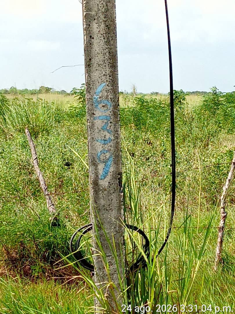 MaydelinRa's tweet photo. Hasta las zonas rurales llegan los trabajadores de #Etecsa_Mayabeque para resarcir los daños en las redes de telecomunicaciones. 
#EtecsaConCuba 
#Mayabeque https://t.co/BrHman4Kuv