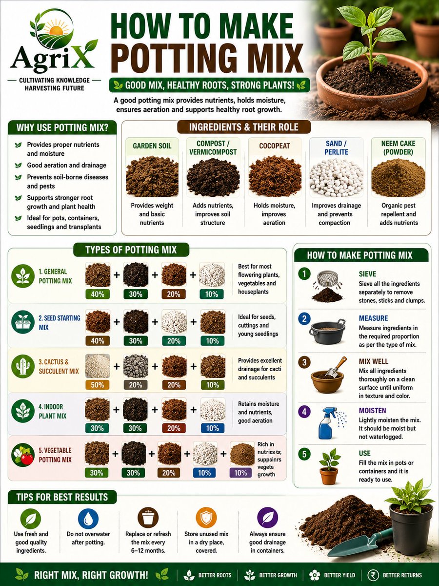 agrix2026's tweet photo. 🌱🪴 POTTING MIX — THE FOUNDATION FOR HEALTHY PLANTS!

A good potting mix gives plant roots the right balance of moisture, air, nutrients and drainage. Whether you're growing seedlings, vegetables, flowers, succulents or indoor plants, choosing the right mix makes a big difference! 🌿

🧪 Key Ingredients

🌱 Garden soil — provides body and basic nutrients
♻️ Compost/Vermicompost — improves fertility and soil structure
🥥 Cocopeat — improves moisture retention and aeration
⚪ Perlite/Sand — improves drainage and reduces compaction
🌿 Neem cake — adds organic nutrients and supports soil health

🌿 Types of Potting Mix

1️⃣ General-purpose mix — suitable for flowering plants and many vegetables
2️⃣ Seed-starting mix — light and well-aerated for seeds and young seedlings
3️⃣ Cactus & succulent mix — fast-draining to prevent excess moisture
4️⃣ Indoor-plant mix — balanced moisture retention and aeration
5️⃣ Vegetable potting mix — nutrient-rich for productive container gardening

👨‍🌾 Simple Preparation

Sieve → Measure → Mix well → Moisten lightly → Fill containers → Plant

💚 RIGHT MIX + HEALTHY ROOTS = STRONGER PLANTS!

#PottingMix #Gardening #ContainerGardening #PlantCare #NurseryManagement #SoilHealth #HomeGardening #SeedStarting #OrganicGardening #Horticulture #FarmerEducation #AgriX #HealthyPlants #BetterGrowth