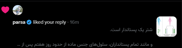 JeaSmith_9's tweet photo. @Luciferrastar ظاهراً برخی حساب‌های کاربری به جنبهٔ هم‌قافیه بودنِ واژه‌های انگلیسی علاقه دارند:

Camel (شتر) : Mammal (پستاندار) https://t.co/8syYaxFAOd