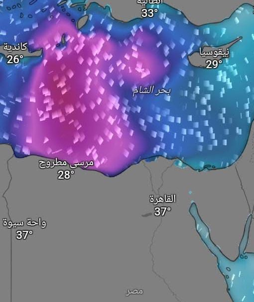Alexandria_egy1's tweet photo. #عاجل 🚨⚠️ || كلف محافظ الإسكندرية الإدارة المركزية بمتابعة حالة البحر على مدار الساعة، ورفع الرايات التحذيرية المناسبة، مع الإعلان عن حالة البحر كل ساعتين عبر الصفحة الرسمية لمحافظة الإسكندرية، حفاظًا على سلامة وأمن الرواد، مؤكدًا ضرورة عدم النزول إلى المياه عند رفع الراية الحمراء.