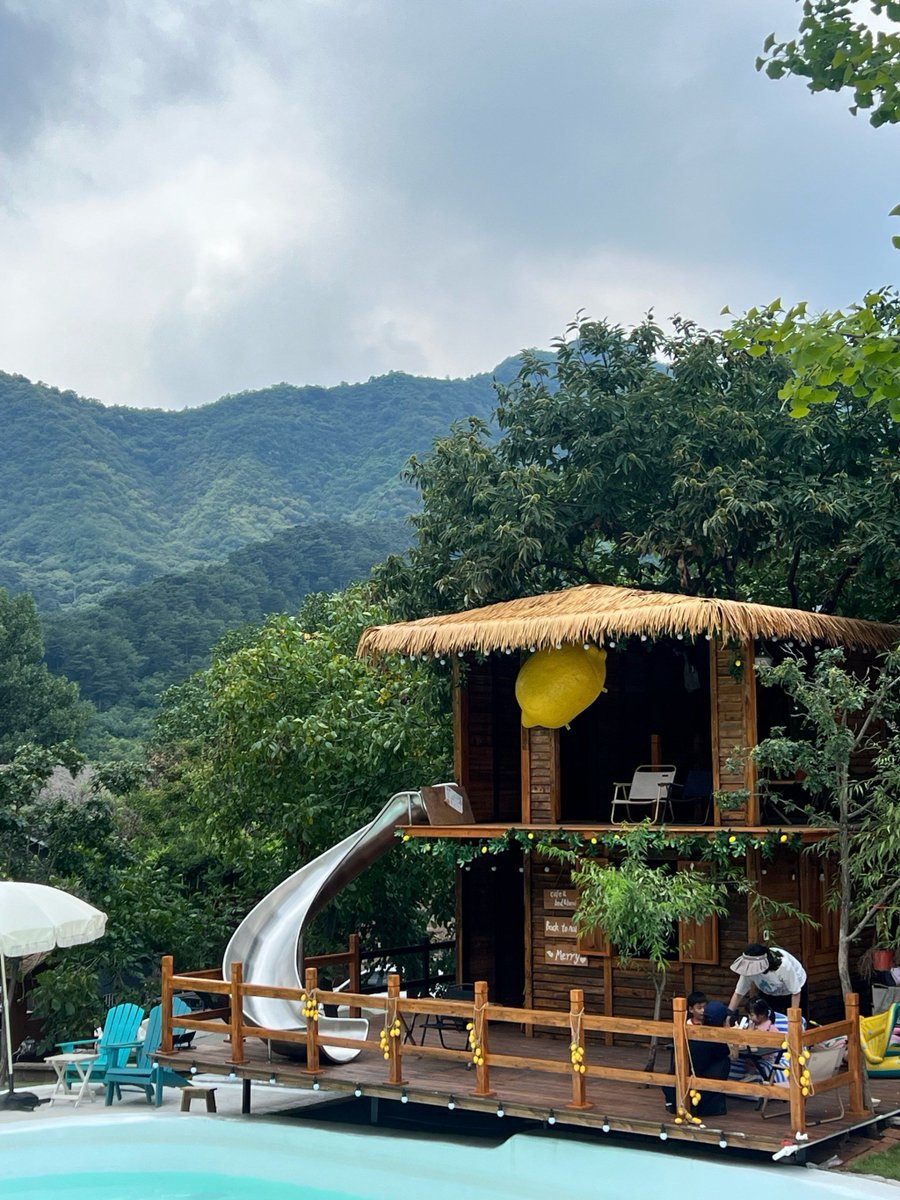RoskamJean's tweet photo. Tried the new zero-waste café by the river—sip matcha while chatting with locals, every cup helps cut plastic waste. Such a warm, sustainable vibe I didn’t know I needed!， https://t.co/ZsKpJO88KD