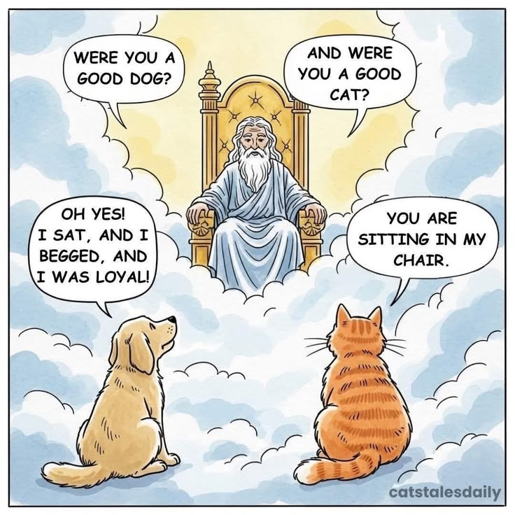thepawmic's tweet photo. https://t.co/FKkloRnUCT