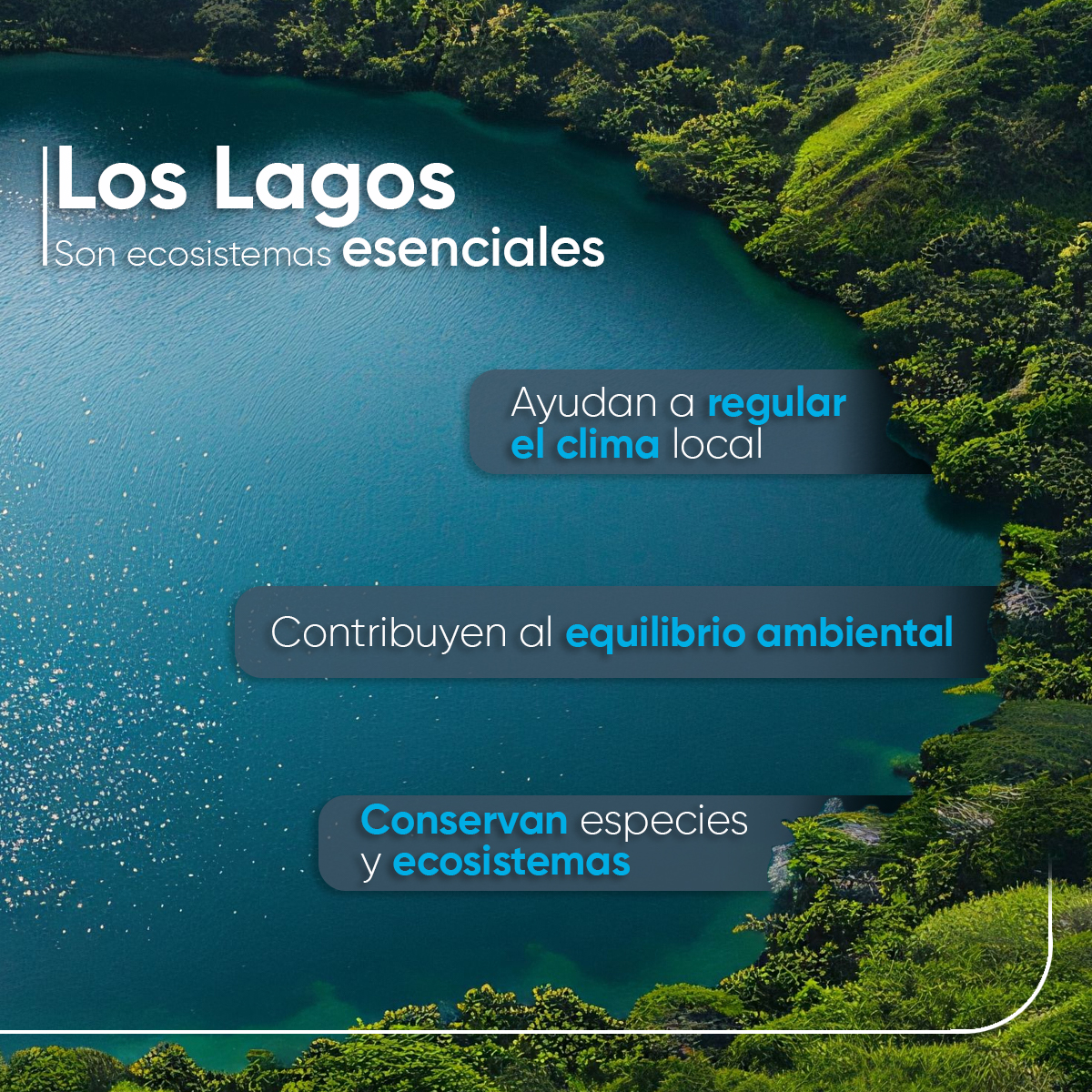 AmitupOficial's tweet photo. Los lagos son mucho más que cuerpos de agua: son ecosistemas que sostienen la vida y forman parte del equilibrio de nuestro planeta. 🌎💧
En el Día Mundial de los Lagos, hacemos un llamado a fortalecer una cultura de cuidado, conservación y gestión responsable del agua. 
#AMITUP https://t.co/pp2MM2jsS1