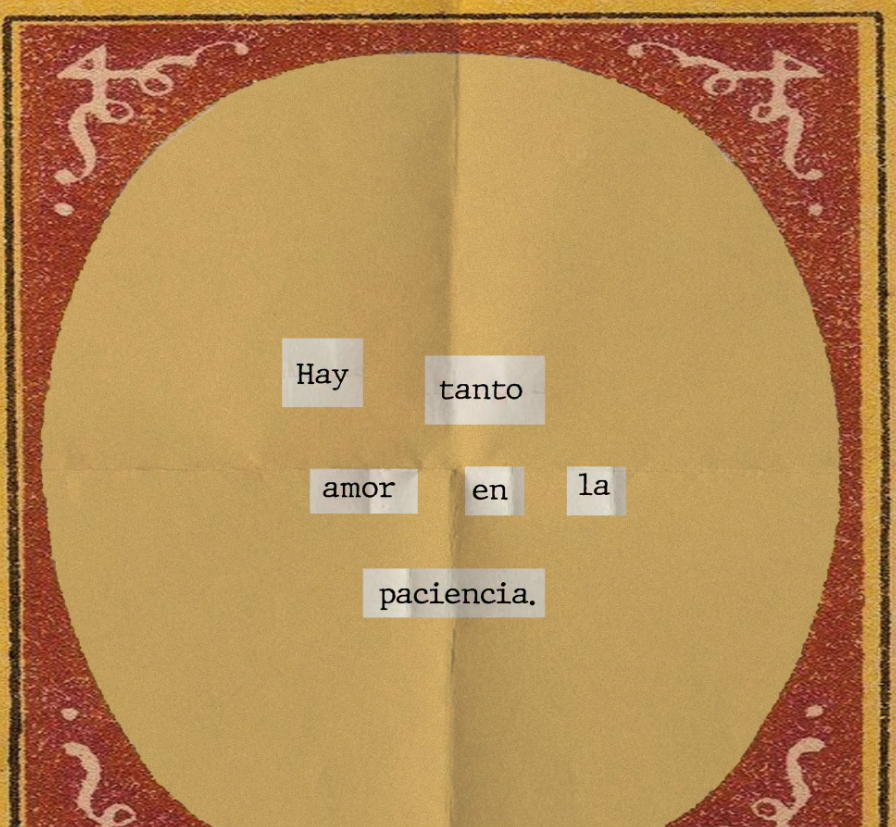 Bandidosfrasess's tweet photo. https://t.co/uUWyo14Hw4