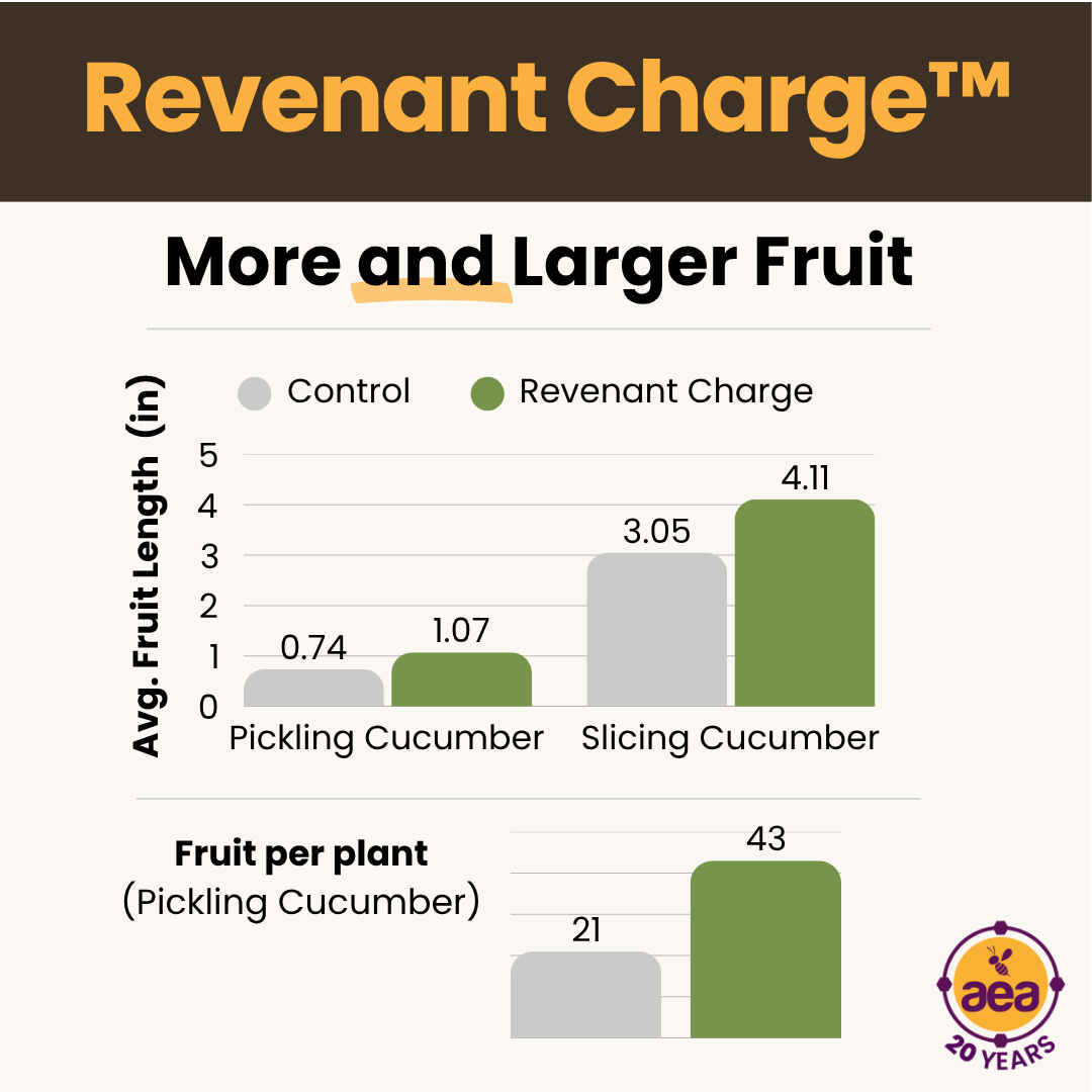 AdvancingEcoAg's tweet photo. Field Trial Results are in on Revenant Charge™.

➡️ There hasn’t yet been a trial where Revenant Charge hasn’t made a substantive difference in plant growth.

Revenant Charge™ is a low-cost, high-impact boost that stimulates biology in the soil. Per acre costs as low as $10-20.

And it's 15% OFF only through Sunday 8/30!

🧑‍🔬 See more trial results: https://t.co/QlDwtUtdlZ
💥 15% off: shop: https://t.co/TjuygkO92h