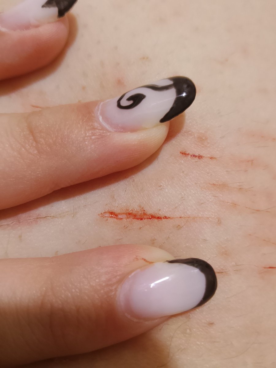 nii1433's tweet photo. is this a baby styro or cat scratches https://t.co/zJSIYJHx9k