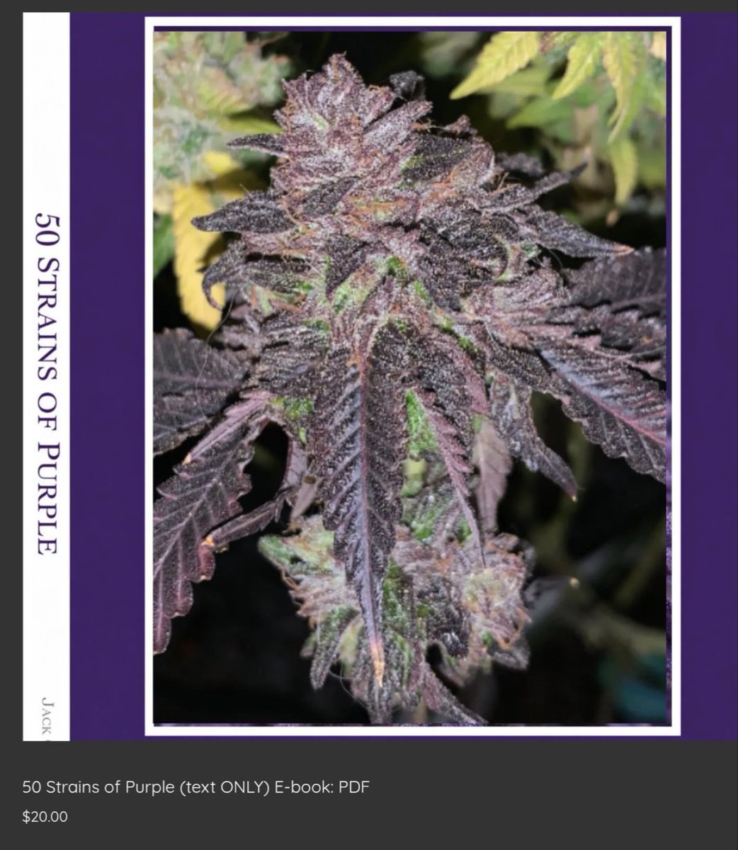 MossyMallard's tweet photo. @WeedPorns @miraclexmed New release from @Jack_Greenstalk the PhD of Pot. If you love purple strains this book is about the history and lore of each of your favorite strains. Check it out and puff puff pass it around 💜 https://t.co/FCLh6ThoFw