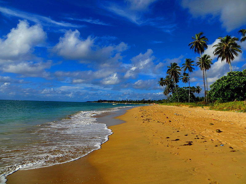 Nordeste_Merece's tweet photo. 📍Ilha de Itaparica, Baía de Todos os Santos, Bahia https://t.co/70wbp6WSCP