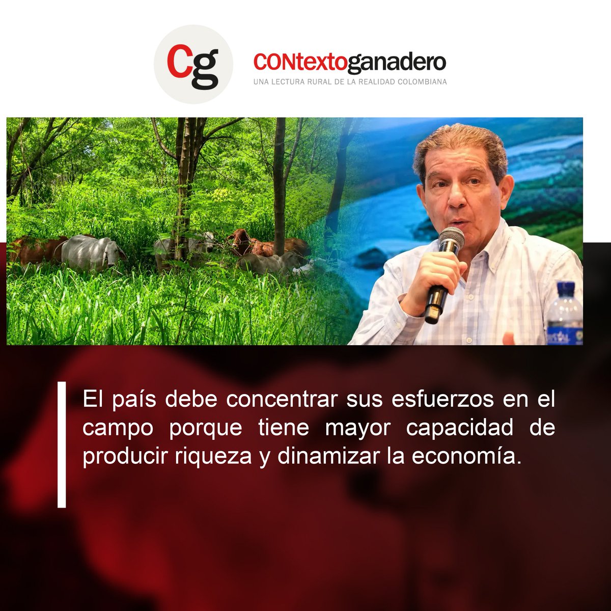 PlCodazzi tweet picture