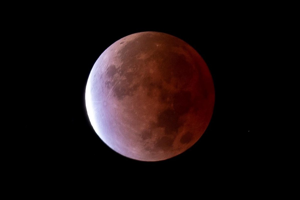 lopezdoriga's tweet photo. Esta noche se podrá apreciar desde México un eclipse parcial de Luna.

https://t.co/xateKUG3q1 https://t.co/OfD0bW26Js