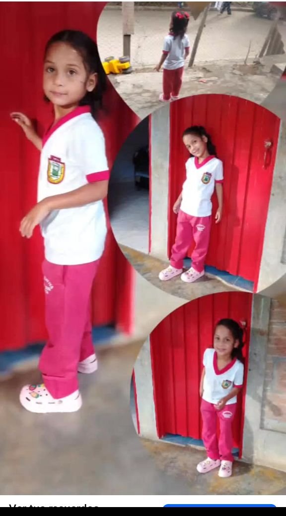 DenunciasAntio2's tweet photo. 🔊 Han pasado más de 80 horas. Michelle Dayana Henao Chavarría, de 6 años, salió del patio de su casa en Cristo Rey, Buriticá #Antioquia , y no volvió.

Tiene autismo, no habla y padece epilepsia. Cada día sin su medicina aumenta el riesgo.

10 drones, perros de búsqueda y todo el pueblo siguen en montaña y casco urbano. Si la viste el lunes cerca de las 10:05 a.m., o tienes una pista, dila ya.

Comparte. Que no se apague.

#DenunciasAntioquia