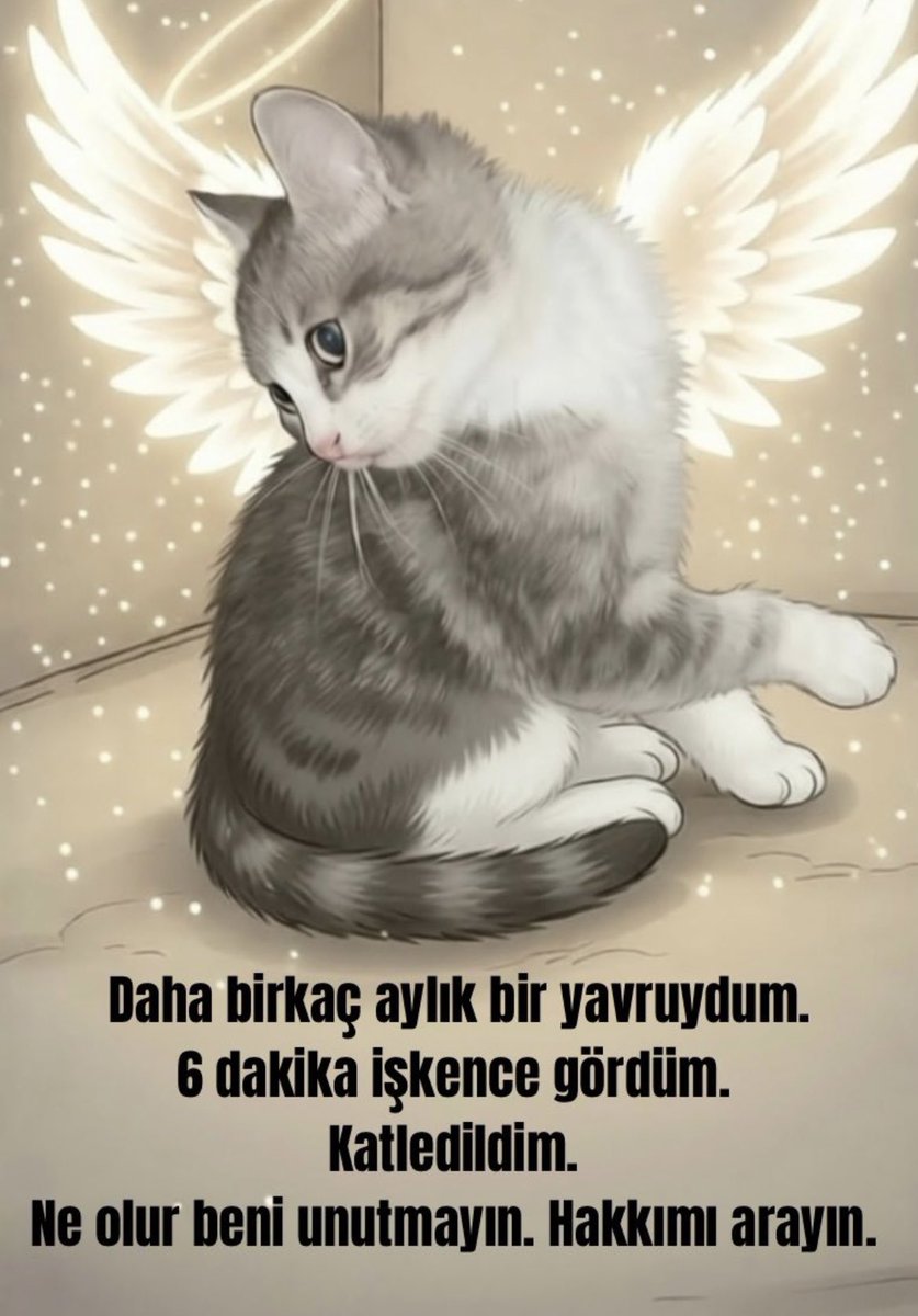 BerkEfe7k's tweet photo. Ona “Yaşama hakkın yok” dediler. Kaçmasın diye patilerini kırıp tekmelediler, ağaç dalıyla tecavüz edip yerden yere vurdular. Kafasını ezerek öldürdüler;Kafasında sigara söndürdüler. O sadece minicik bir bebekti, hayatını yaşayamadan öldürüldü. Sesini çıkar! Susma! Gündem de tut https://t.co/WSZwwIVZT4